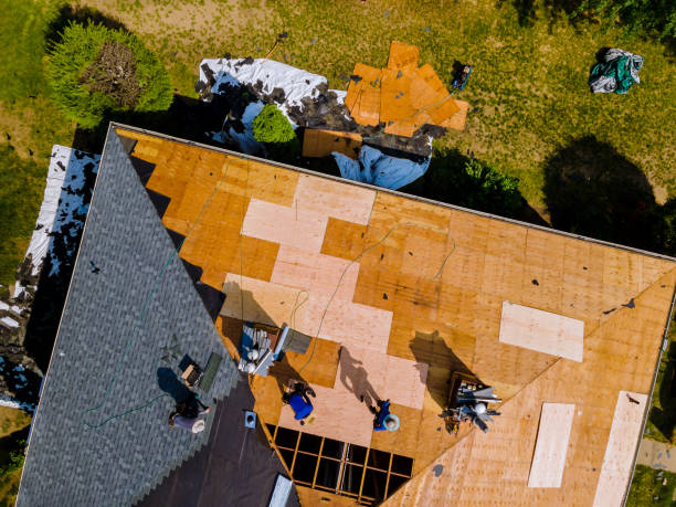 Best Metal Roofing Contractor  in Dana, NC