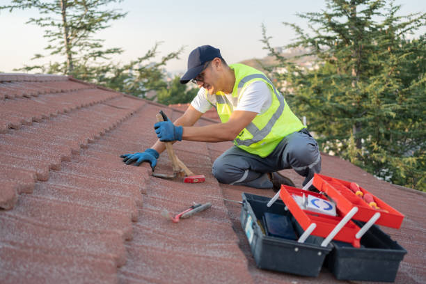 Best Emergency Roof Repair  in Dana, NC